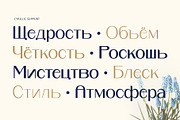 Binaru, a Sans Serif Font by Locomotype (Thumbnail 8 of 10)