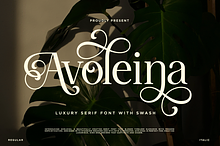Avoleina - Luxury Serif Font