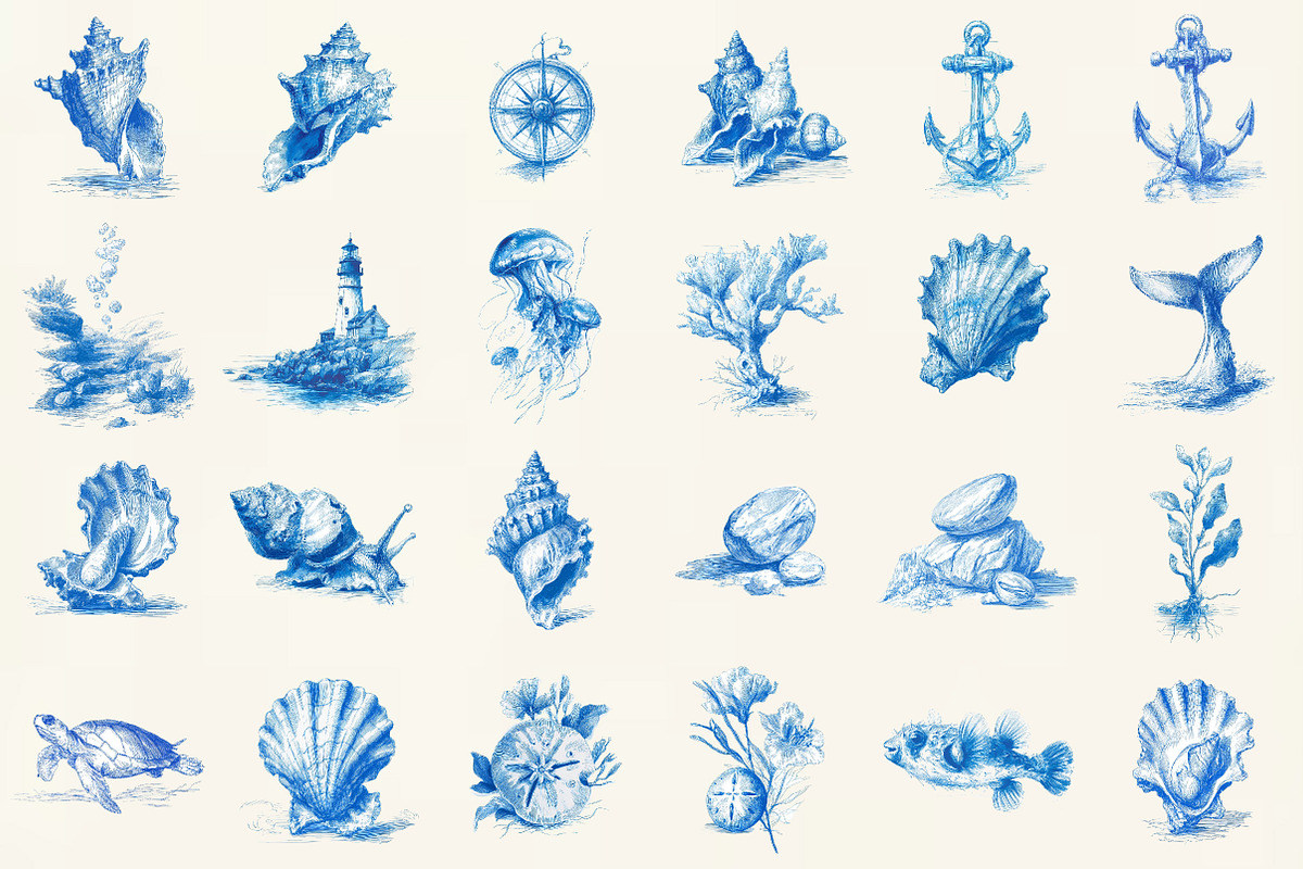 Seashell Ocean Sketch Clipart, an Illustration by DreamCafeArt (Photo 2 of 6)