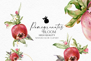 Watercolor Pomegranate Botanical