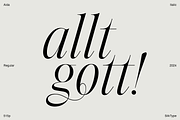Aida | 10 Font Ligature Serif, a Font by Silktype (Thumbnail 4 of 20)