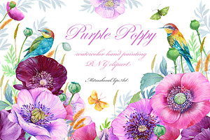 Purple Poppy Watercolor Clipart