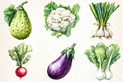 Watercolor Vegetables Clipart Bundle, an Illustration by DreamCafeArt (Thumbnail 3 of 9)