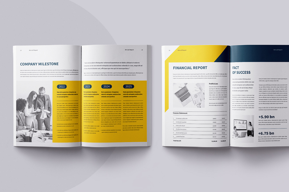 Annual Report | Canva, InDesign preview 5