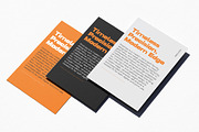 Prolinea Family | Intro 75% OFF, a Sans Serif Font by Lettertype Studio (Thumbnail 13 of 15)