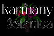 Bumerang - Display Serif, a Serif Font by Nirmana Visual (Thumbnail 15 of 15)