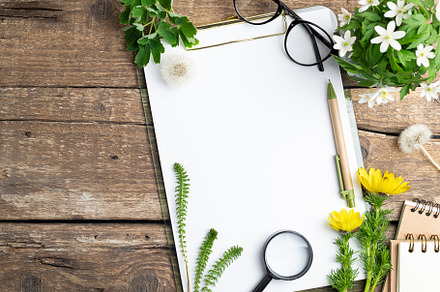 White paper blank, flowers, plants, a School & Education Photo by LanaSweet