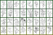 Wild Flowers Coloring Page, a Graphic by Forhadx5 (Thumbnail 7 of 15)