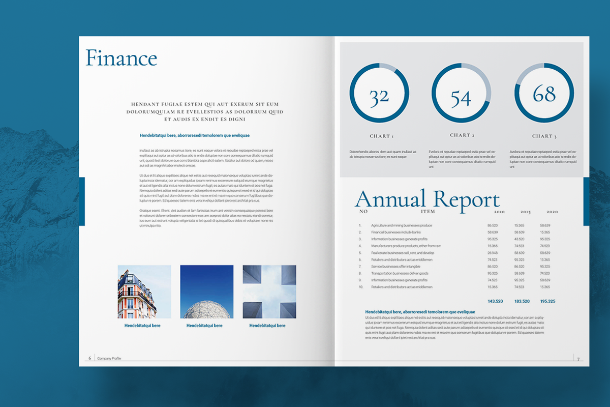 Blue Business Brochure, a Brochure Template by Boris Cupac (Photo 4 of 7)