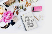 Camellias, a Script Font by Hart Foundry™ (Thumbnail 6 of 8)
