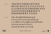 Sophista Belucy Display Beauty Font, a Serif Font by Skillyas_Studio (Thumbnail 9 of 12)