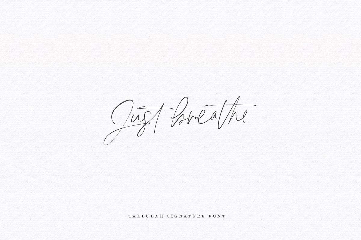 Tallulah Signature Script, a Script Font by Callie Rian & Co. (Photo 12 of 17)