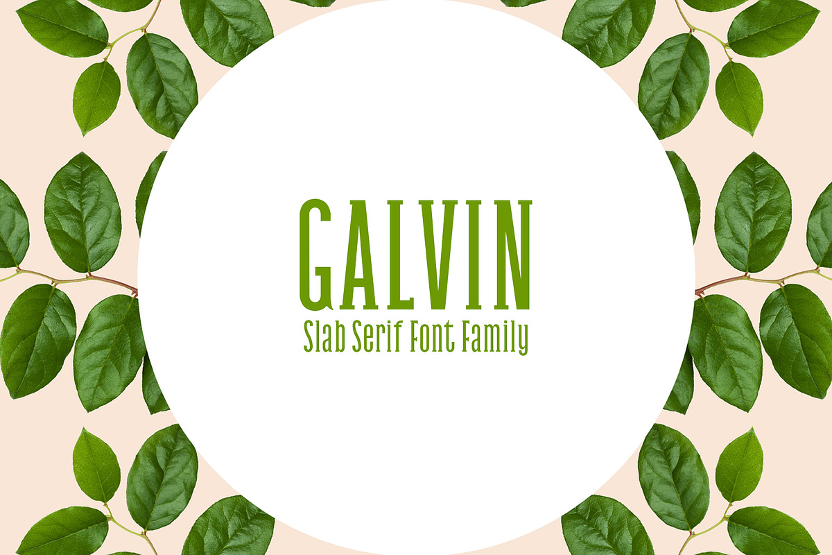 Sale || Slab Serif Font Bundle preview 2