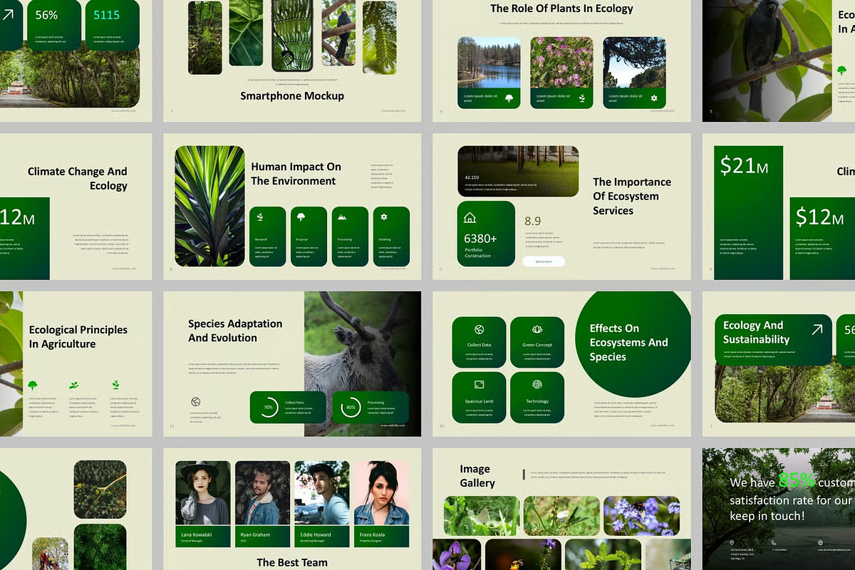 Ecology Environment Powerpoint, a Presentation Template by Fit-tee (Photo 2 of 2)