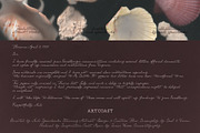 Laelia Font Family | Elegant Script, a Script Font by nadispasibenko (Thumbnail 9 of 11)