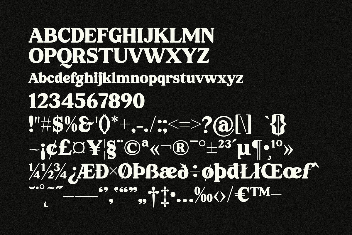 Regisha Modern Retro Serif Font, a Serif Font by Storytype Studio (Photo 13 of 15)