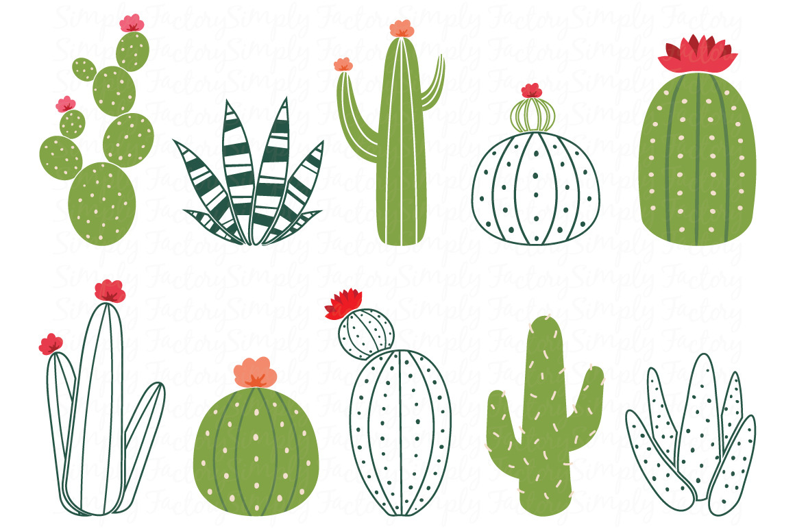 Cactus Design Elements | Decorative Illustrations ~ Creative Market
