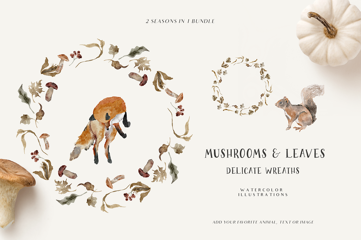 Fall & Winter Woodland Animals set, an Animal Illustration by Grace Noboa Illustrations (Photo 14 of 17)