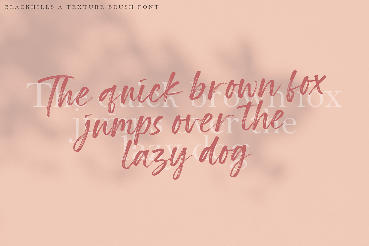 Blackhills - Brush Font, a Script Font by Megi Satyo Widodo (Photo 13 of 15)