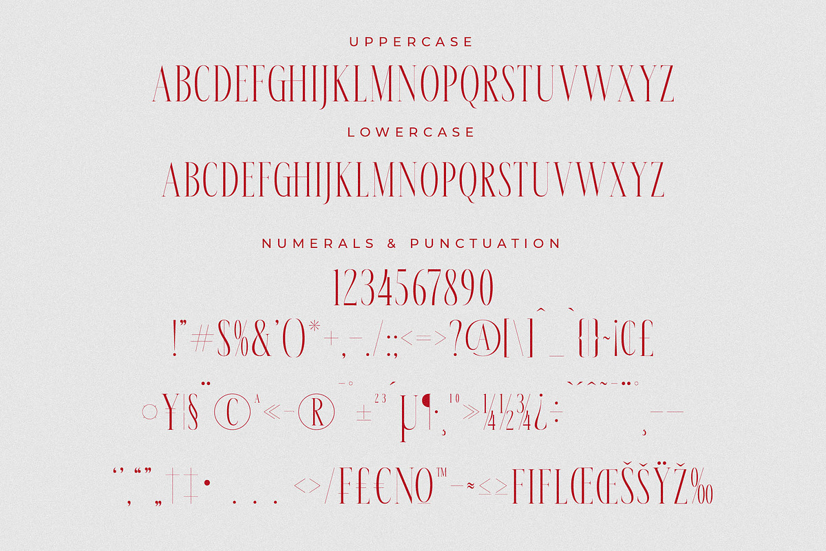 Meksron Modern Serif Font, a Serif Font by Letterena Studios (Photo 13 of 15)