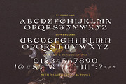Desira - Attractive Serif, a Serif Font by Sarid Ezra (Thumbnail 9 of 9)