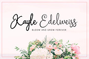 Homogenic - Script Font, a Script Font by HIRO.std (Thumbnail 9 of 14)
