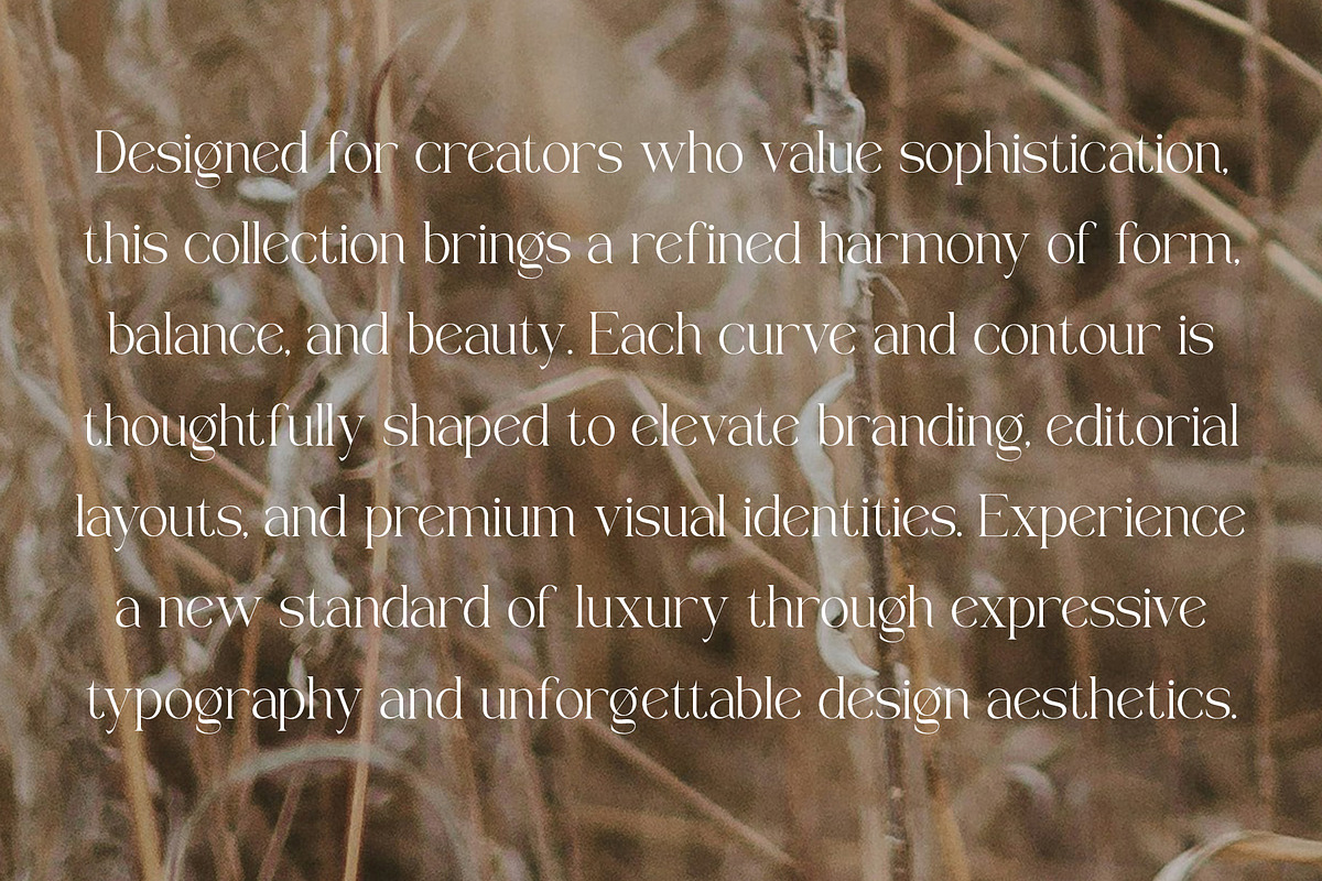 Galem | Elegant Serif, a Serif Font by Typoraith Co (Photo 10 of 10)
