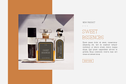 Blissful - Modern Stylish, a Serif Font by RockboyStd (Thumbnail 2 of 12)