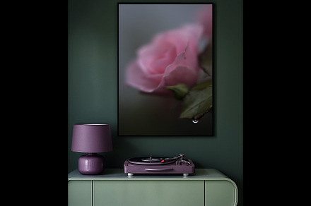 Emotional Pink Rose digital art