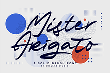 Mister Arigato | A Solid Brush Font