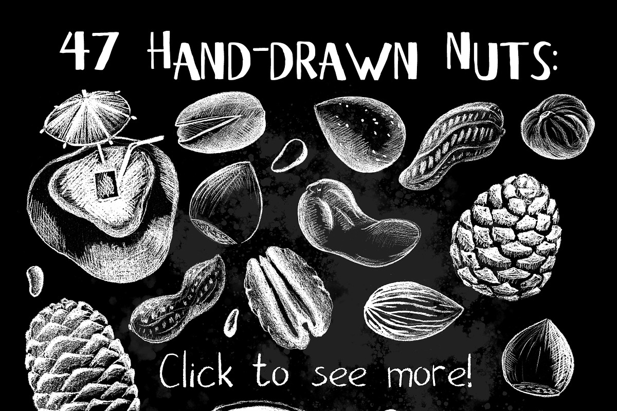 White Chalk Sketched Nuts Clipart, a Food Illustration by RabbitAndPencil (Photo 2 of 5)