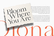 Qiona Elegant Modern Serif Font, a Serif Font by timelesstype.co (Thumbnail 11 of 20)
