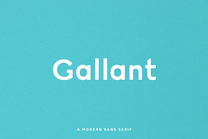 Gallant - A Geometric Typeface, a Sans Serif Font by Cassandra Cappello