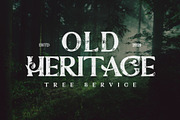 StunningOverturn Modern/Vintage Font, a Serif Font by PompoCo (Thumbnail 1 of 14)