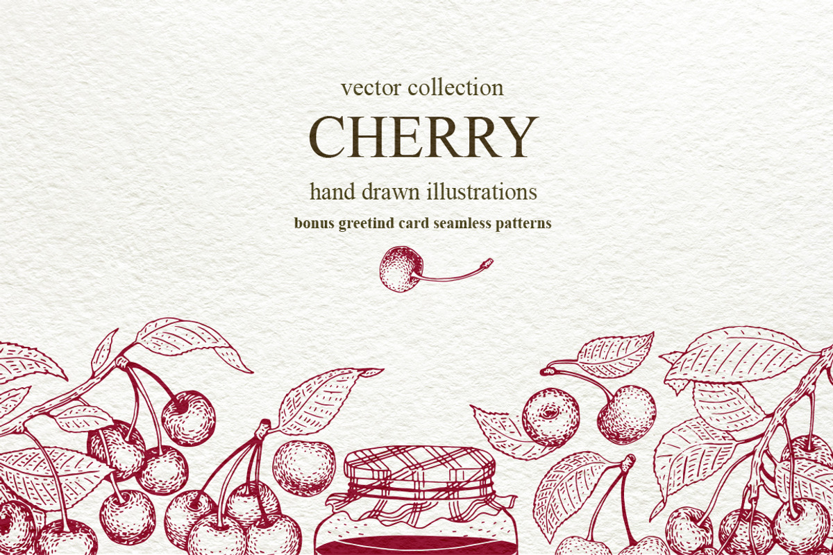 Cherry Vector Collection, a Food Illustration by Lubov Illustrations Shop (Photo 1 of 7)