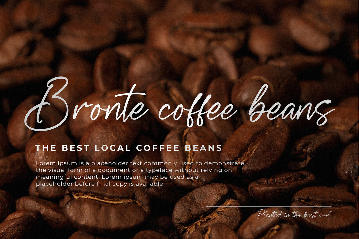 Wagenatta, a Handwritten Font by Integritype Studio (Photo 4 of 15)