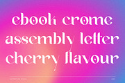 Suika a Modern / Vintage Font, a Serif Font by Lettertype Studio (Thumbnail 9 of 15)