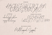 Stanley Elliott, a Handwritten Font by Abo Daniel Studio (Thumbnail 16 of 17)