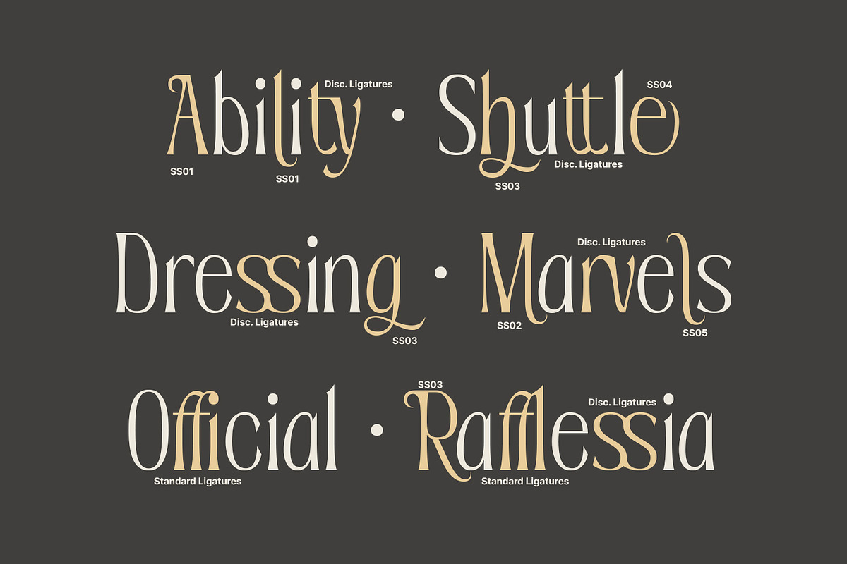 Sevenity, a Serif Font by din-studio.com (Photo 8 of 11)