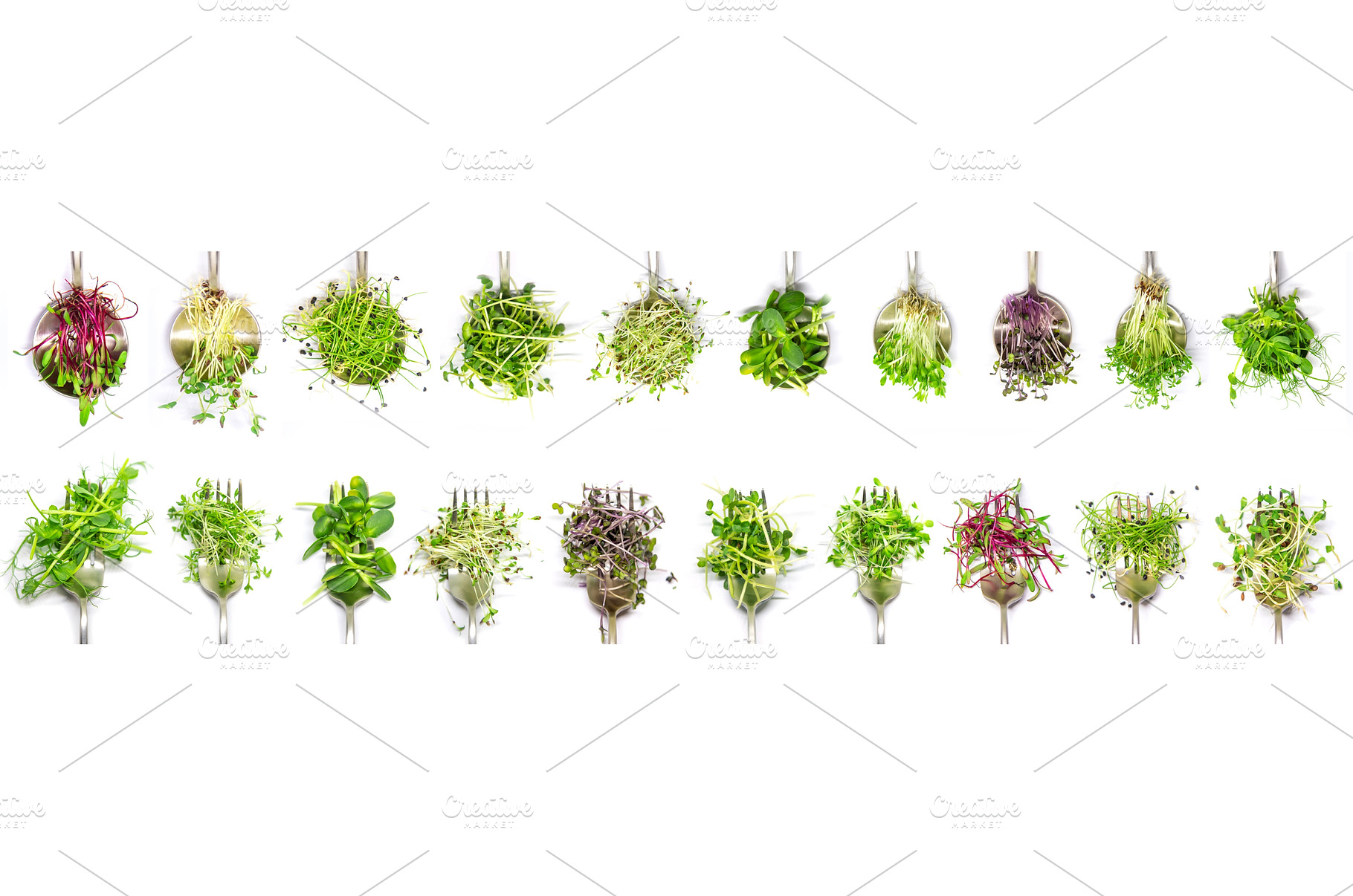 Collage of different microgreens on, a Food & Drink Photo by yanadjana