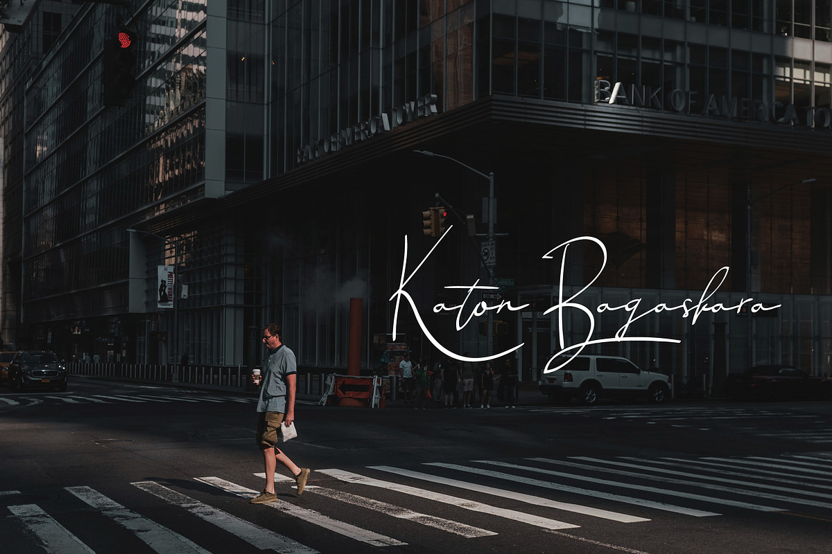 Anastasiya Elegant Signature Font preview 3