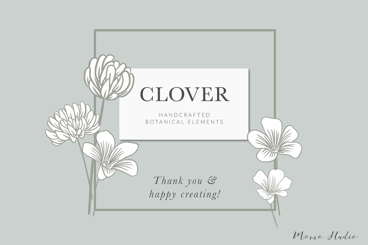 Clover Botanicals - Florals & Leaves, an Illustration by Momo Studio (Photo 12 of 12)