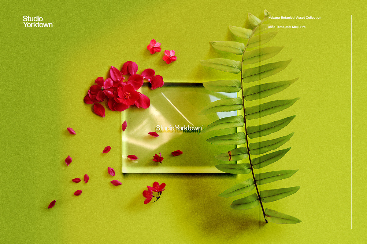 Ikebana Botanical Asset Collection, an Object Graphic by Studio Yorktown (Photo 7 of 15)