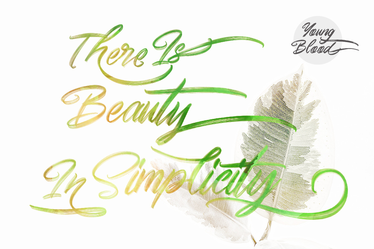 Young Blood SVG and Solid Script preview 3
