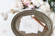 Linger - Fine Art Florals & Textures, a Texture Illustration by Greta Ivy (Thumbnail 3 of 9)