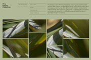 Natural textures - Green edition v01, a Texture Graphic by Haehae photography (Thumbnail 2 of 6)