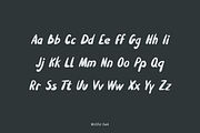 Willful Handwritten Brush Font, a Sans Serif Font by Mr.Typeman (Thumbnail 2 of 7)