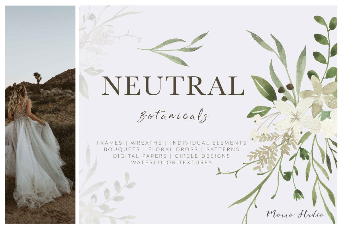Neutral Botanicals Florals & Leaves, a Work Illustration by Momo Studio (Photo 1 of 16)