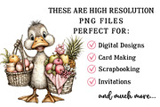 Whimsical Beach Duck Clipart, an Illustration by OK Design (Thumbnail 5 of 6)