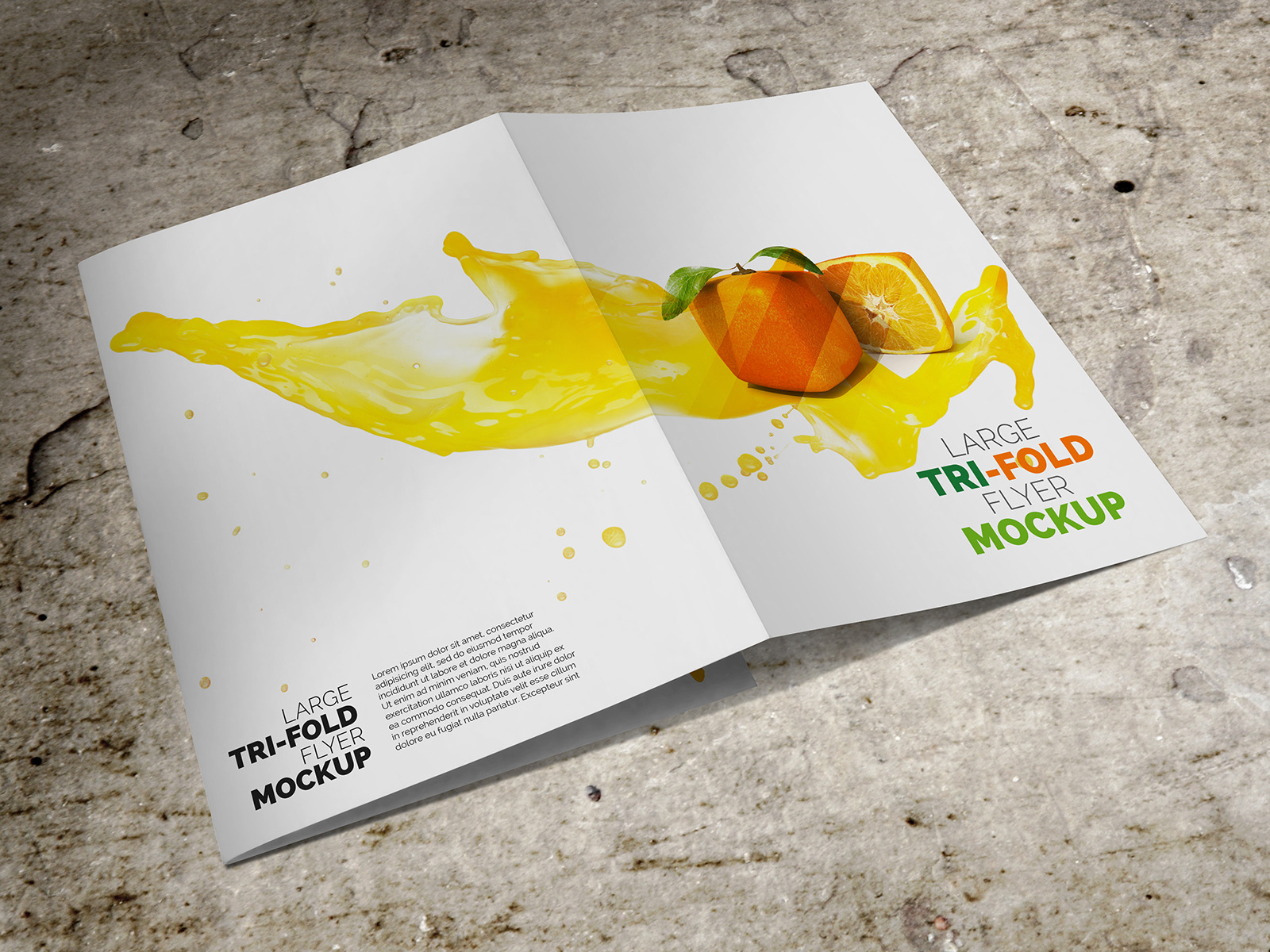 Large Trifold Brochure Mockup, a Mockup by Vectogravic Design